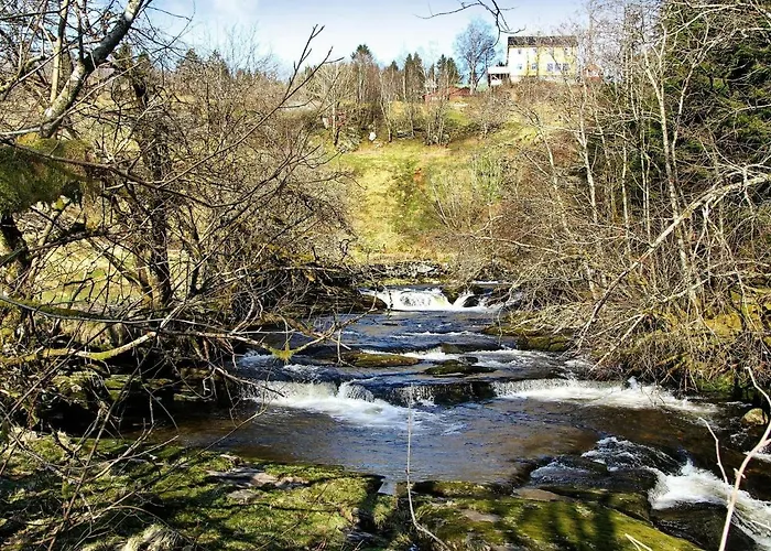 10 Person In Ferienhaus *